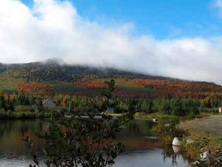 Commerces et bien-être